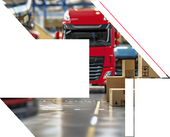 Autotrasporti Salvioni - Trasporti eccezionali e Movimentazioni industriali Bari